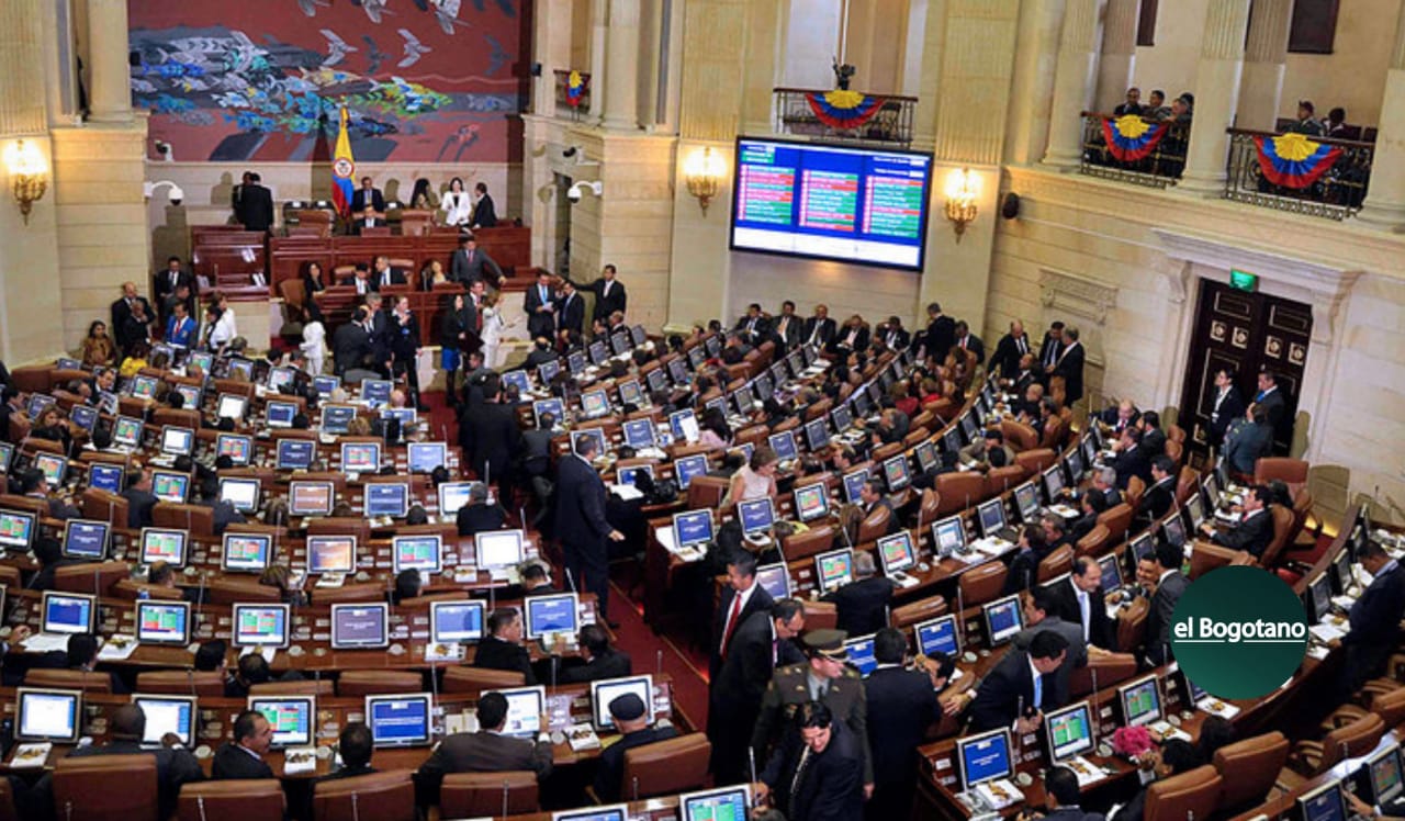 Corte constitucional